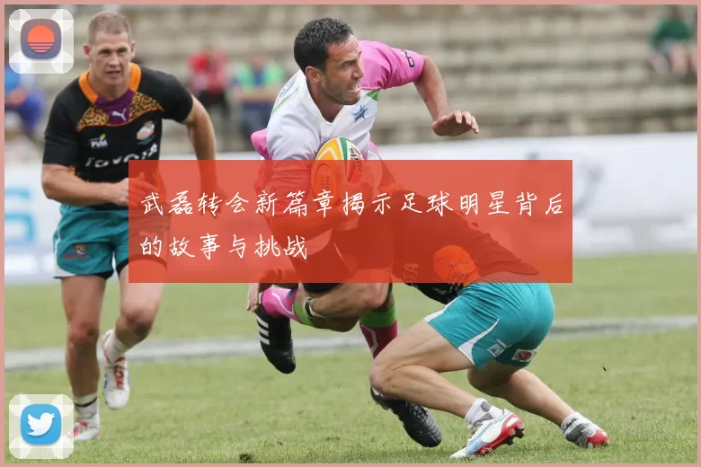 武磊转会新篇章揭示足球明星背后的故事与挑战