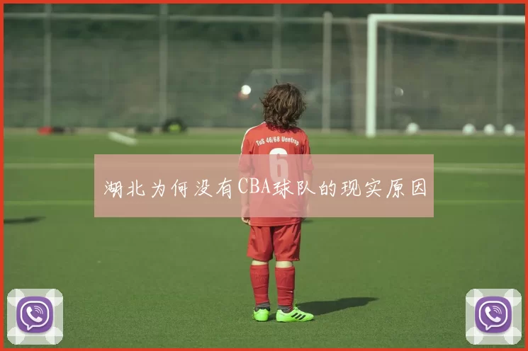 湖北为何没有CBA球队的现实原因