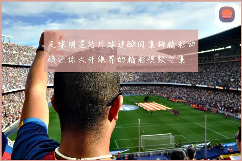 足球明星怒斥球迷瞬间集锦精彩回顾让你大开眼界的精彩视频合集