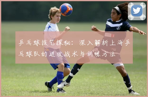 乒乓球技艺探秘：深入解析上海乒乓球队的进攻战术与训练方法