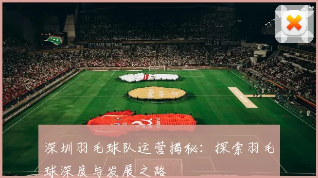 深圳羽毛球队运营揭秘：探索羽毛球深度与发展之路